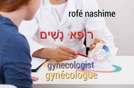 traduire gynecologue en hebreu