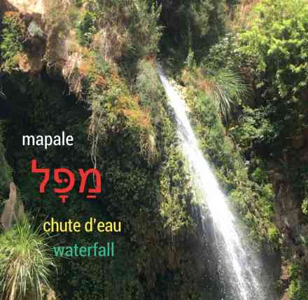 Ein guédi, Israel, chute d'eau
