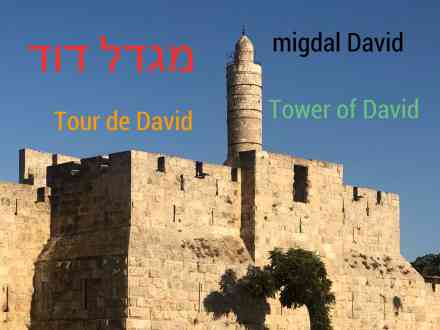 israel, tour de de david, voyage, hébreu, hebrew, hebreu be ivrit, beivrit