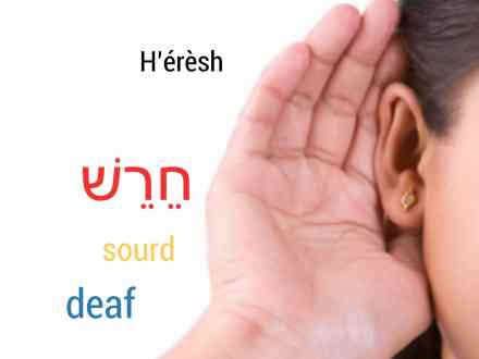 Sourd, חרש
