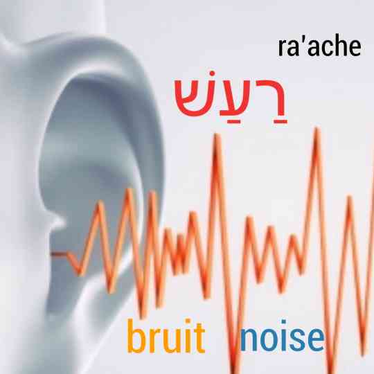 Bruit