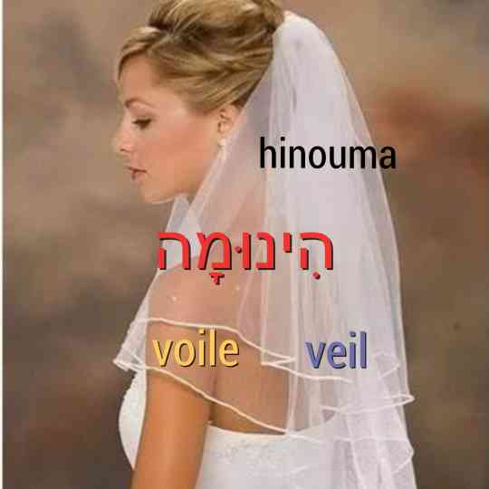 voile mariée