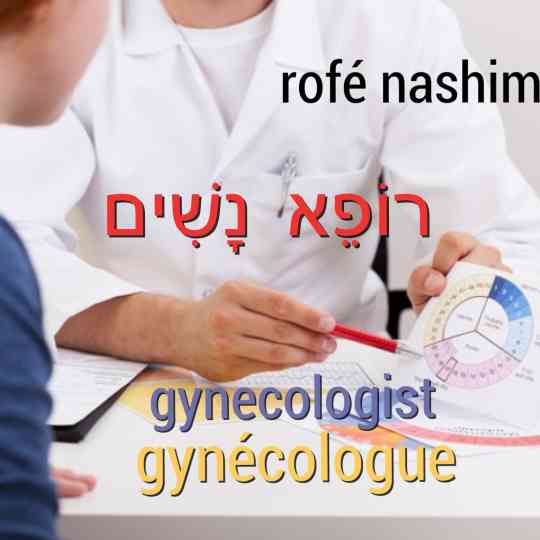 traduire gynecologue en hebreu