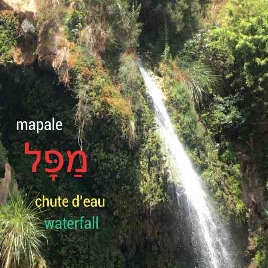 Ein guédi, Israel, chute d'eau