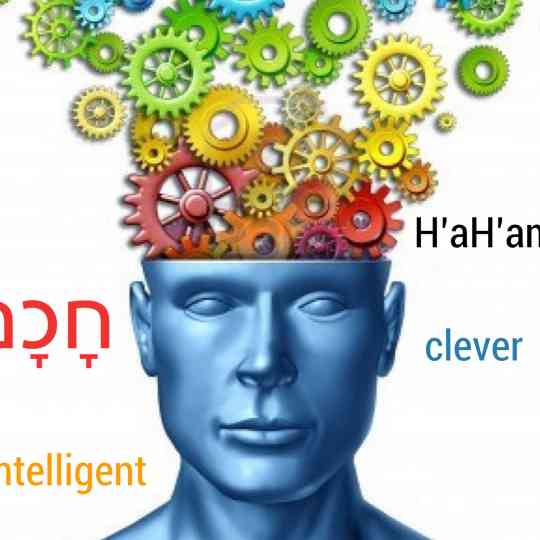 Intelligent  חכם