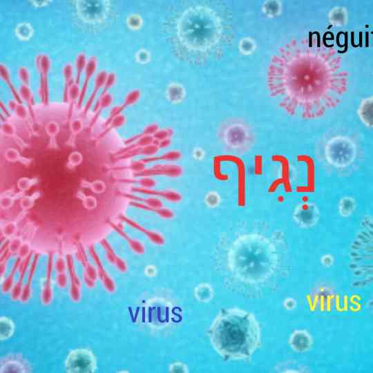 virus, נגיף